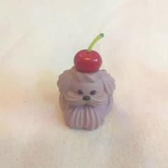 ホイップわんちゃんのくらし　なでて〜　ココアのサムネイル
