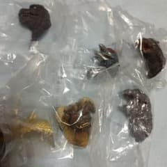 이치 반 쿠지 고질라 대괴수 열전 G상 몬스터 헤드 마그넷 6점 콤프