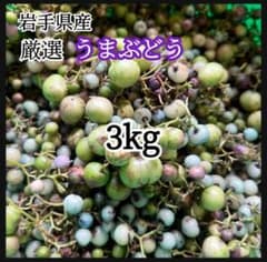 岩手県産 3kg 野ぶどう うまぶどう　冷凍クール便　薬膳　250g×12袋 岩手県産 3kg 野ぶどう うまぶどう 冷凍クール便 250g×12袋 - メルカリ