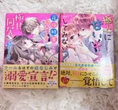 野いちご文庫 2冊セット 溺愛同居 極上に甘いキスのサムネイル