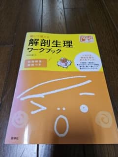 書いて覚える解剖生理ワークブックのサムネイル