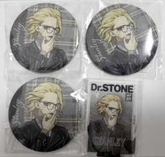 Dr.STONE くじ引き堂 読書の秋編 缶バッジ スタンリー 4点 - メルカリ