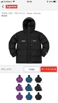 supreme ゴアテックスGore-Tex700fillダウンパーカーのサムネイル