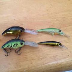 ワイルドハンチ ベビーシャッドのサムネイル