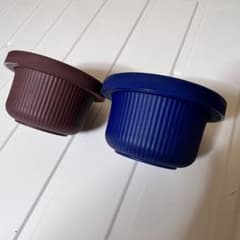 【二個セット】シリコンランチケース(小) 電子レンジ可のサムネイル