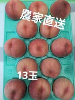 山形県東根産 硬桃 おどろき 5kg 13玉 - メルカリ