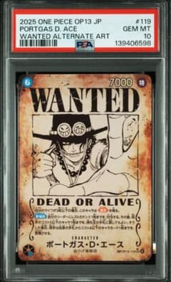 ポートガス・D・エース 手配書【PSA10】 13-119 sp - メルカリ