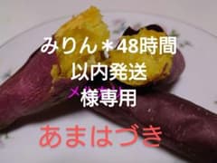 みりん＊48時間以内発送 様専用のサムネイル