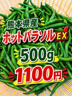 熊本県産 新鮮 青唐辛子 激辛ホットパラソルEX 500g - メルカリ