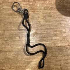 リーシュコードのサムネイル