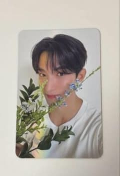 SEVENTEEN DK トレカのサムネイル