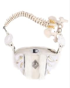 Embryo Bone Bagのサムネイル