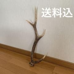 m39265766912_1.jpg?1723526912