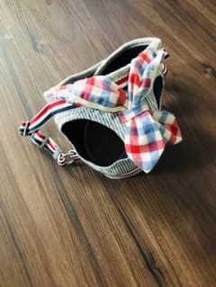犬 ハーネスのサムネイル