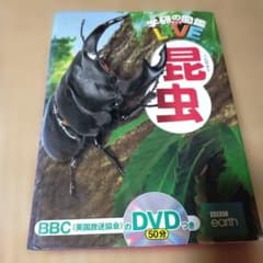 学研の図鑑LIVE 昆虫 DVD付きのサムネイル