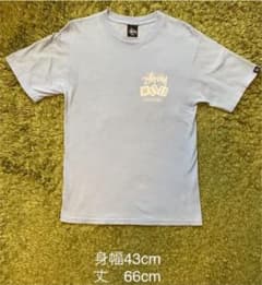 【ADB様専用】ステューシー  Tシャツ 水色ダイスswagger stussyのサムネイル