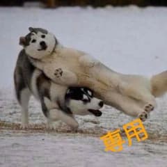 なぁさん専用のサムネイル