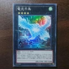 電光千鳥のサムネイル