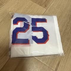 中日 石川昂弥 25番 マルチバッグ ガチャのサムネイル