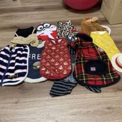 ボア　ダウン　犬服　冬用　セット　まとめて　プードル　S M 多頭飼いのサムネイル