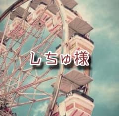Thumbnail of しちゅ様専用ページ