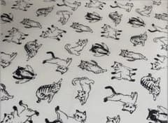 【森のうさぎ₍ᐢ.ˬ.ᐢ₎♡サマ専用】ヨガ猫＊布・はぎれ＊のサムネイル