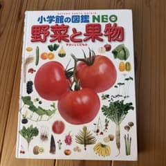 小学校の図鑑NEO 野菜と果物のサムネイル