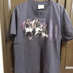 古着Ｔシャツオオカミのサムネイル