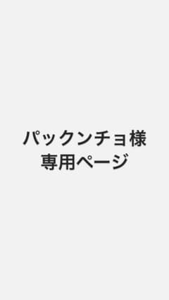パックンチョ様専用ページ　バッジウサギ&リスのサムネイル