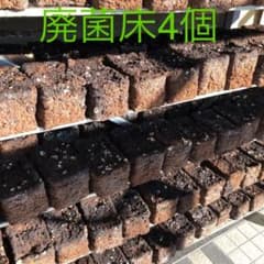椎茸廃菌床ブロック４個のサムネイル