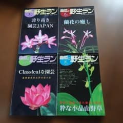 自然と野生ラン 2011年 5月号 6月号 7月号 8月号 4冊セットのサムネイル