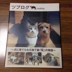 猫の本   ツブログのサムネイル