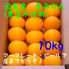因島産　夏みかん　農薬不使用　10kgのサムネイル