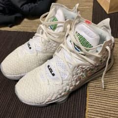 【Rooney様専用】バッシュ NIKEレブロン17のサムネイル