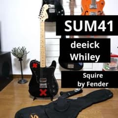 SUM41 Deryck Whibleyモデル Squire by Fender Squier Deryck Whibley Telecaster - What To Know & Where To