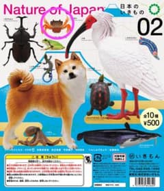 Nature of Japan 日本のいきもの02 サワガニ ガチャのサムネイル