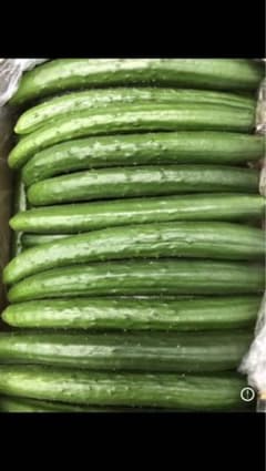 宮崎県産 きゅうり 箱込み 10kg 約75本 - メルカリ