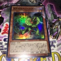 捕食植物サンデウ・キンジーのサムネイル