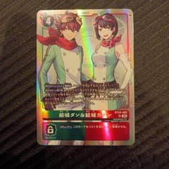 デジモンカードゲーム 結城ダン&結城カナン - メルカリ