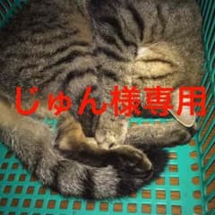 じゅん様専用のサムネイル
