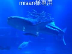 misan様　アトピタ2個のサムネイル