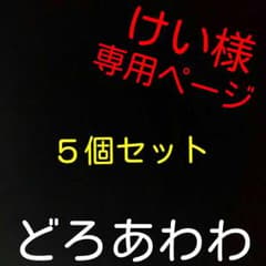 けい様❤５個セット❤専用ページのサムネイル