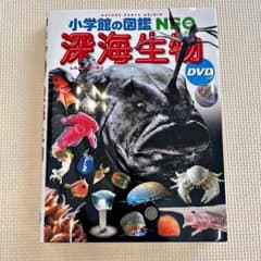 小学館の図鑑NEO 深海生物 DVDつきのサムネイル