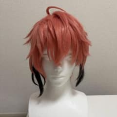 にじさんじ 赤城ウェン ウィッグ - メルカリ