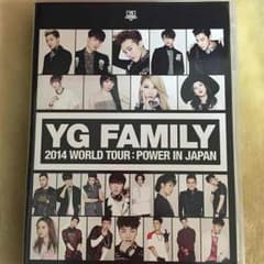 YGFAMILY2014WORLDTOURJAPANDVDのサムネイル