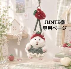 JUNTE様 専用ページのサムネイル