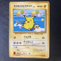 ゆ*り様 そらをとぶピカチュウ_ANA 「みんなにうれしいキャンペーン
