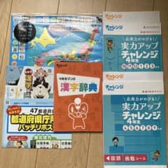 進研ゼミ小学講座 チャレンジ4年生 教材セットのサムネイル