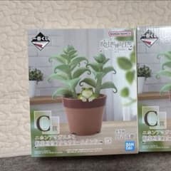 一番くじ 爬虫類・両生類 C賞 ニホンアマガエルと観葉植物アのサムネイル