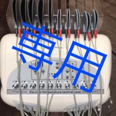 専用ページ　　業務用EMSマシーンのサムネイル